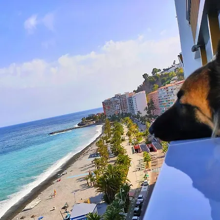 Cruise Views